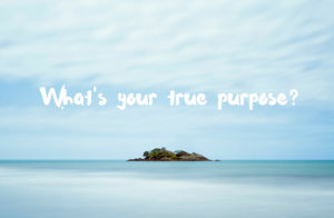 What's your true purpose